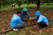 Dư án tại huyện Đắk Mil, tỉnh Đắk Nông