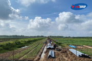Dự án tại huyện Tân Thạnh, tỉnh Long An 2