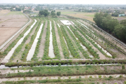Dự án tại xã Nhựt Chánh, huyện Bến Lức, tỉnh Long An